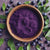 Bilberry Extract